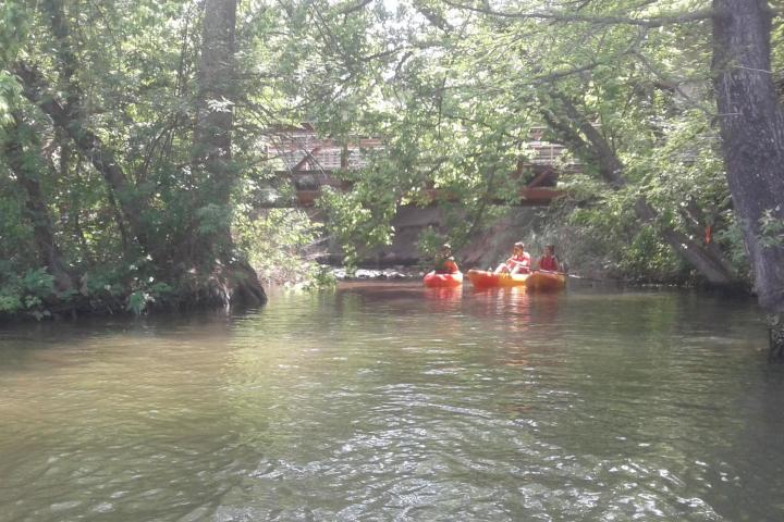 people kayaking in nature in a sunny day